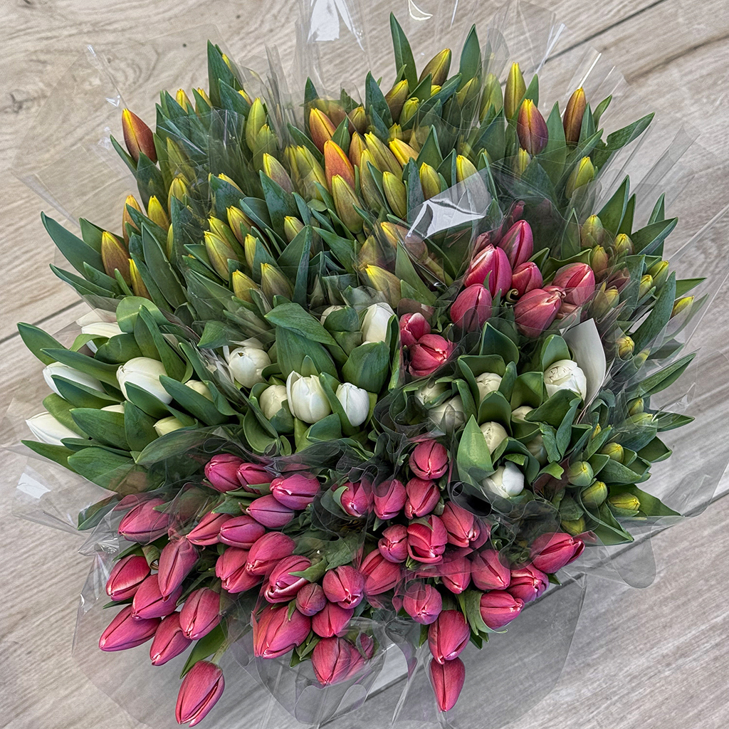 Vi støtter Lions Clubs International sin tulipanaksjon 