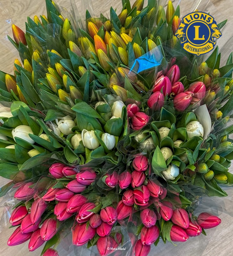 493111117 1163714415551570 8323014043394013353 n